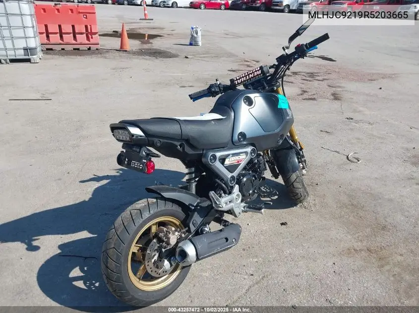 2024 Honda Grom 125 VIN: MLHJC9219R5203665 Lot: 43257472