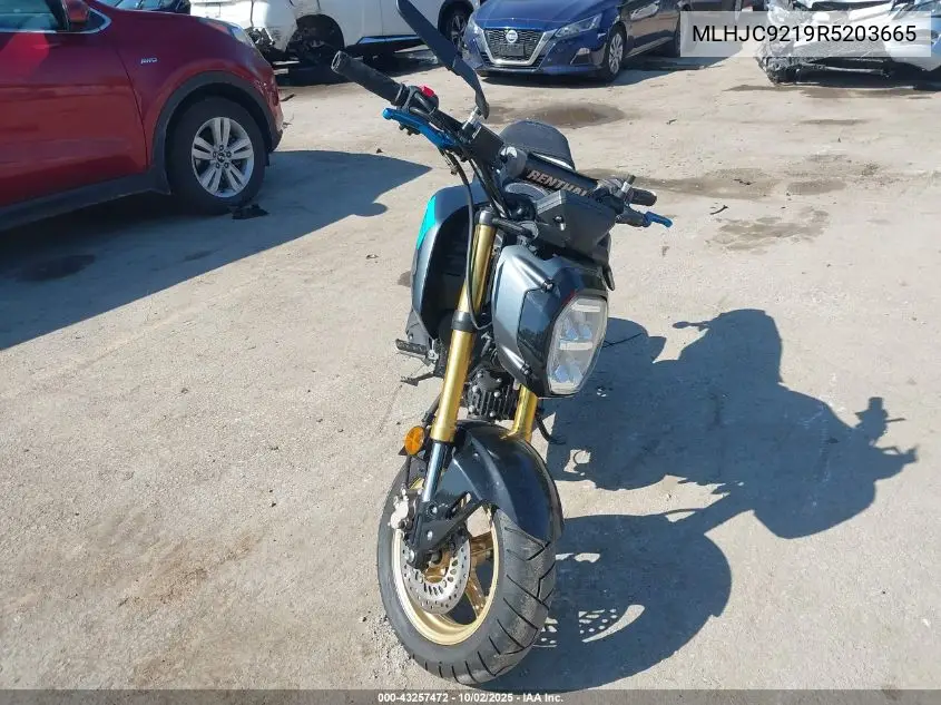 2024 Honda Grom 125 VIN: MLHJC9219R5203665 Lot: 43257472