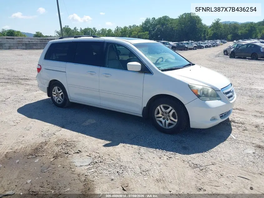 2007 Honda Odyssey Ex-L VIN: 5FNRL387X7B436254 Lot: 45565614