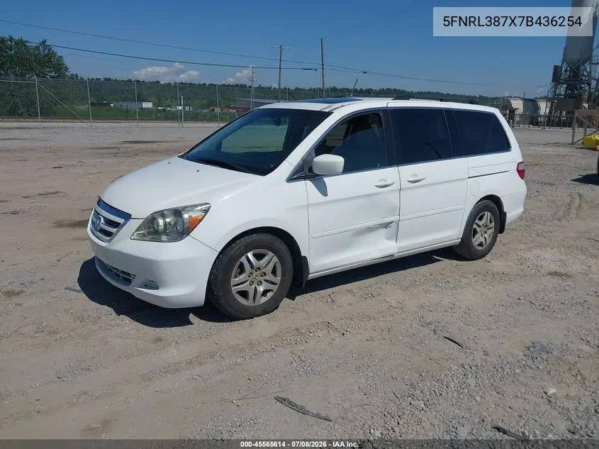 2007 Honda Odyssey Ex-L VIN: 5FNRL387X7B436254 Lot: 45565614
