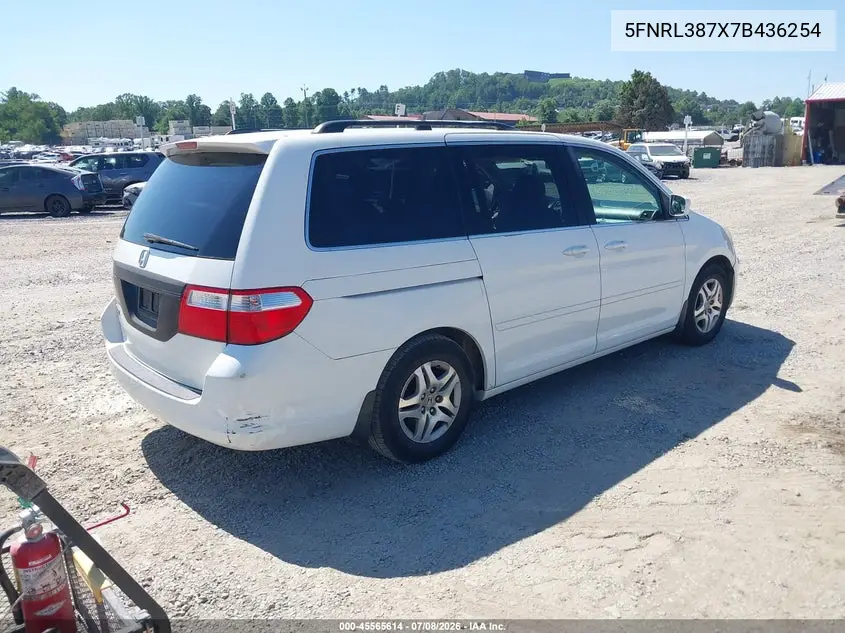 2007 Honda Odyssey Ex-L VIN: 5FNRL387X7B436254 Lot: 45565614