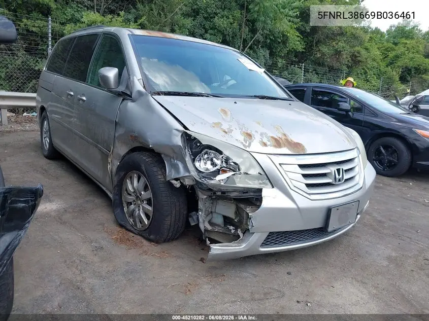 2009 Honda Odyssey Ex-L VIN: 5FNRL38669B036461 Lot: 45210282
