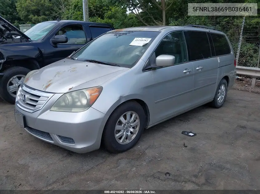 2009 Honda Odyssey Ex-L VIN: 5FNRL38669B036461 Lot: 45210282