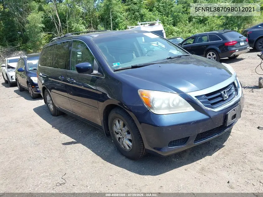2009 Honda Odyssey Ex-L VIN: 5FNRL38709B012021 Lot: 45591505
