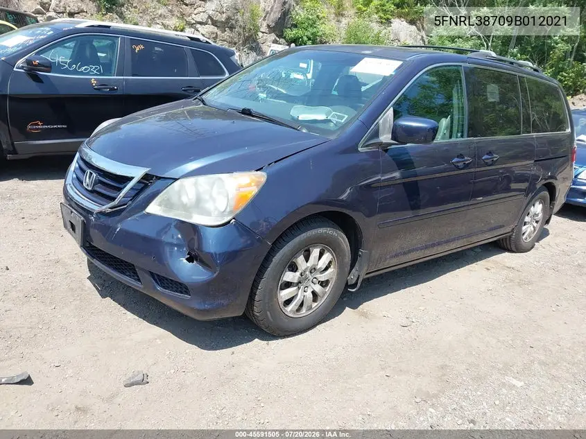 2009 Honda Odyssey Ex-L VIN: 5FNRL38709B012021 Lot: 45591505