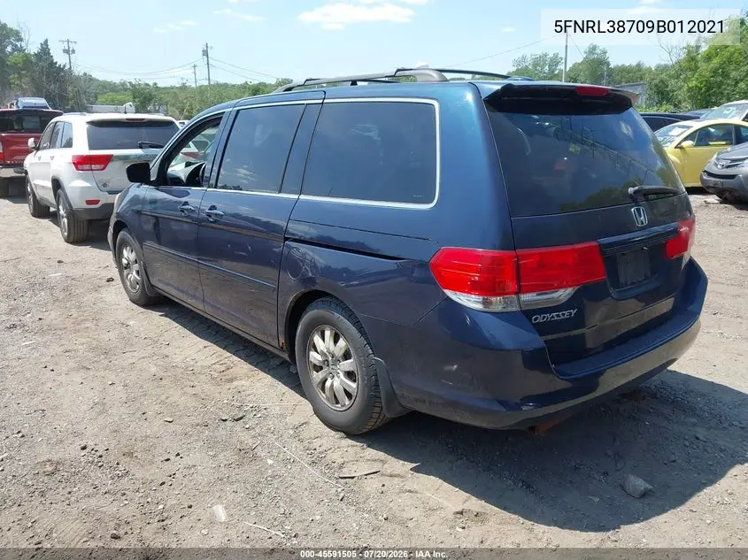 2009 Honda Odyssey Ex-L VIN: 5FNRL38709B012021 Lot: 45591505