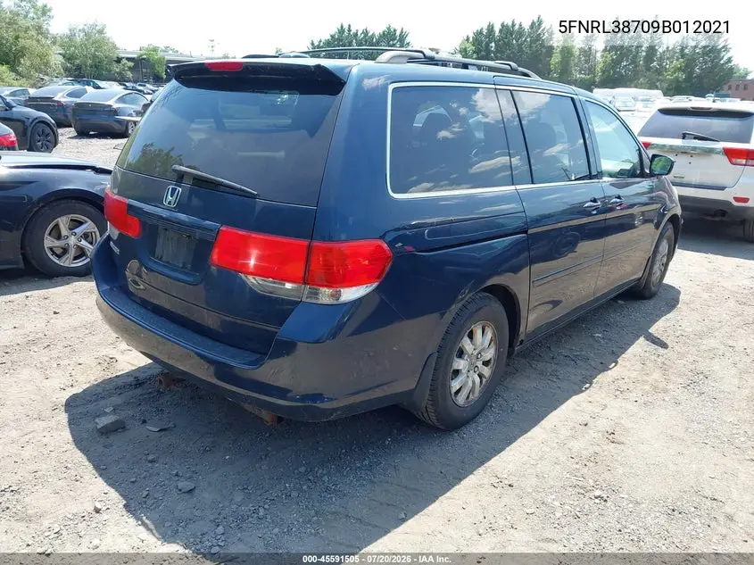 2009 Honda Odyssey Ex-L VIN: 5FNRL38709B012021 Lot: 45591505