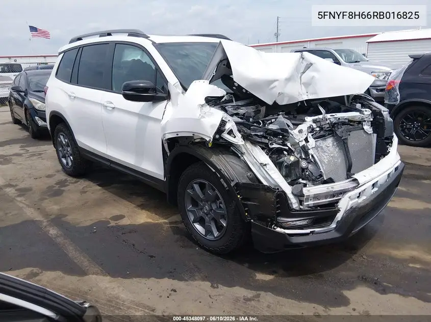 2024 Honda Passport Awd Trailsport VIN: 5FNYF8H66RB016825 Lot: 45348097