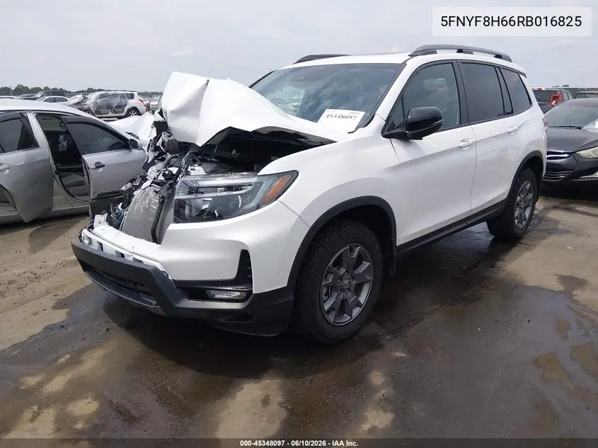 2024 Honda Passport Awd Trailsport VIN: 5FNYF8H66RB016825 Lot: 45348097