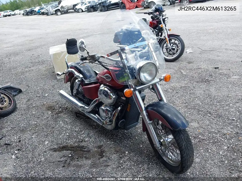 2002 Honda Vt750 Cdc VIN: JH2RC446X2M613265 Lot: 45524361