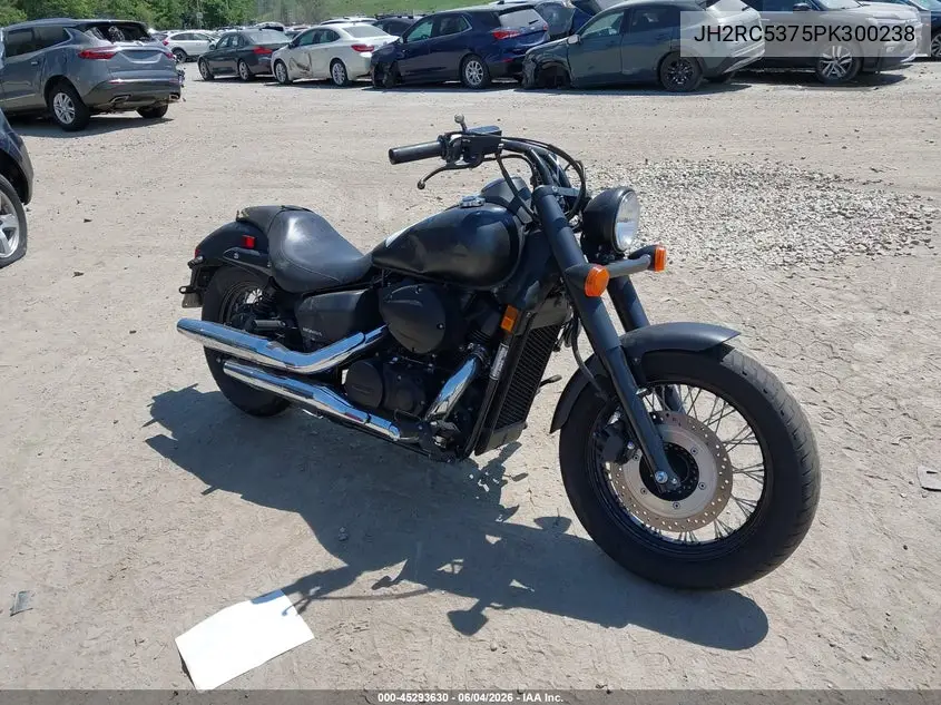 2023 Honda Vt750 C2B VIN: JH2RC5375PK300238 Lot: 45293630