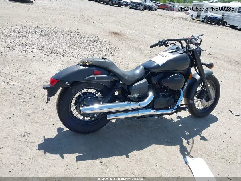 2023 Honda Vt750 C2B VIN: JH2RC5375PK300238 Lot: 45293630