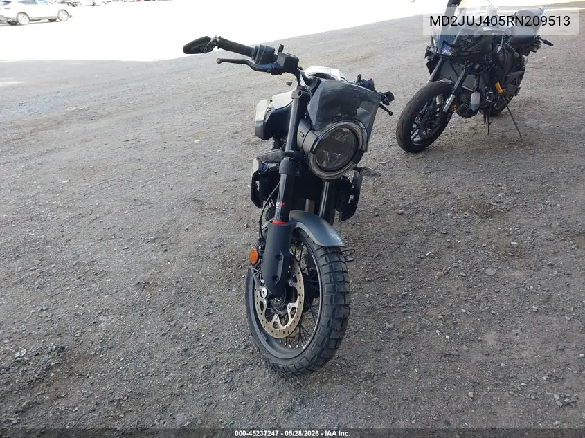 2024 Husqvarna Vitpilen 401/Svartpilen 401 VIN: MD2JUJ405RN209513 Lot: 45237247