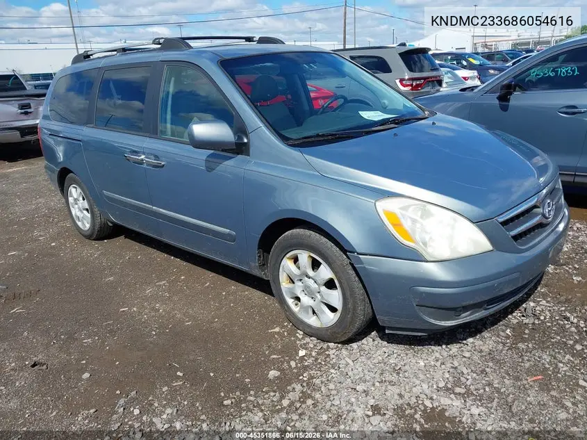 2008 Hyundai Entourage Gls/Limited VIN: KNDMC233686054616 Lot: 45351866