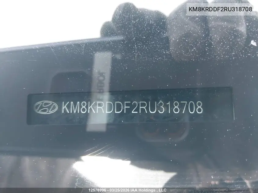 2024 Hyundai Ioniq 5 VIN: KM8KRDDF2RU318708 Lot: 12576996