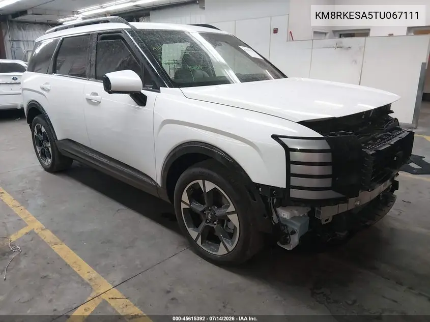 2026 Hyundai Palisade Hev Limited VIN: KM8RKESA5TU067111 Lot: 45615392