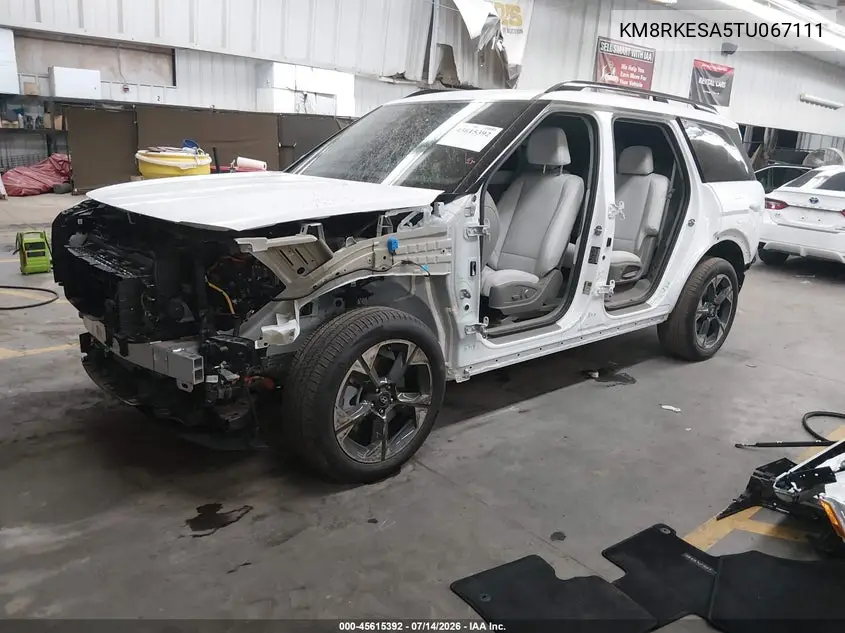 2026 Hyundai Palisade Hev Limited VIN: KM8RKESA5TU067111 Lot: 45615392