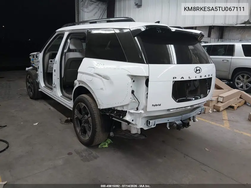 2026 Hyundai Palisade Hev Limited VIN: KM8RKESA5TU067111 Lot: 45615392