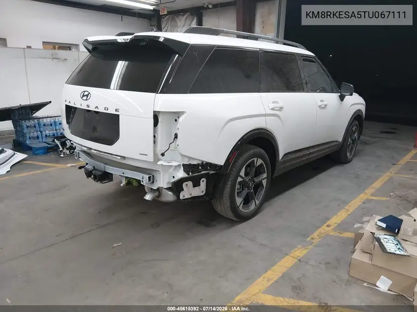 2026 Hyundai Palisade Hev Limited VIN: KM8RKESA5TU067111 Lot: 45615392