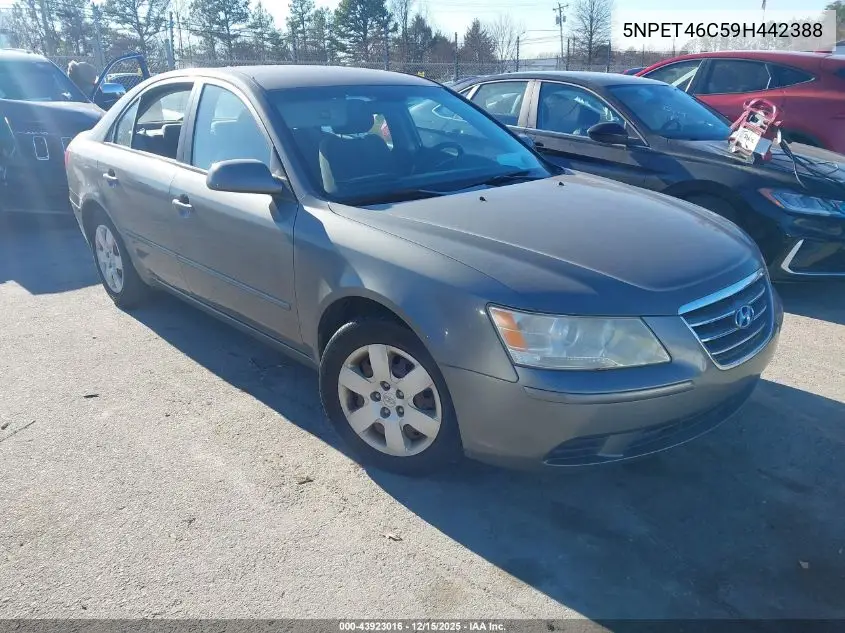 5NPET46C59H442388 2009 Hyundai Sonata Gls
