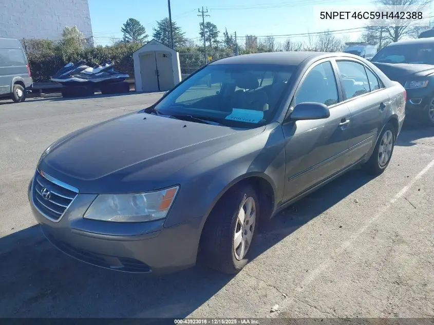 5NPET46C59H442388 2009 Hyundai Sonata Gls