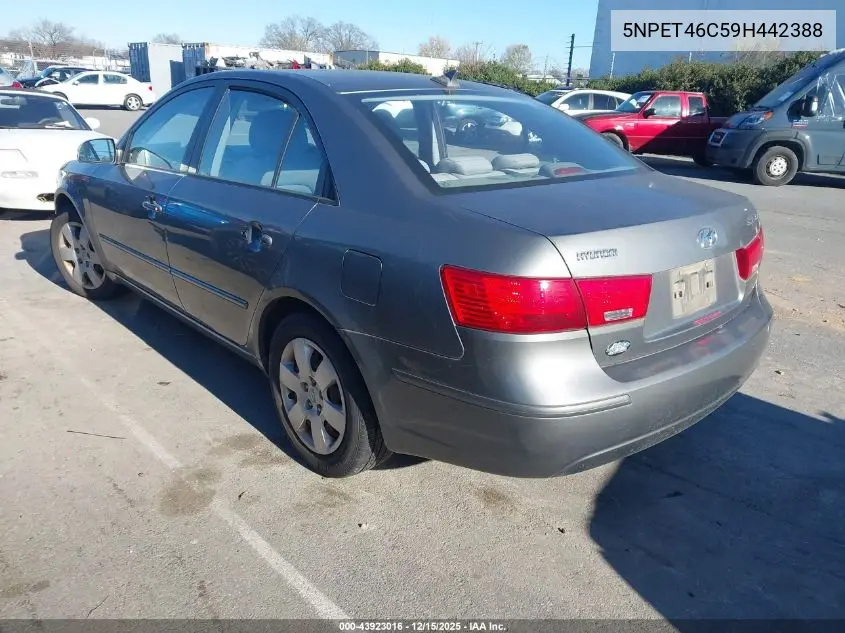 5NPET46C59H442388 2009 Hyundai Sonata Gls