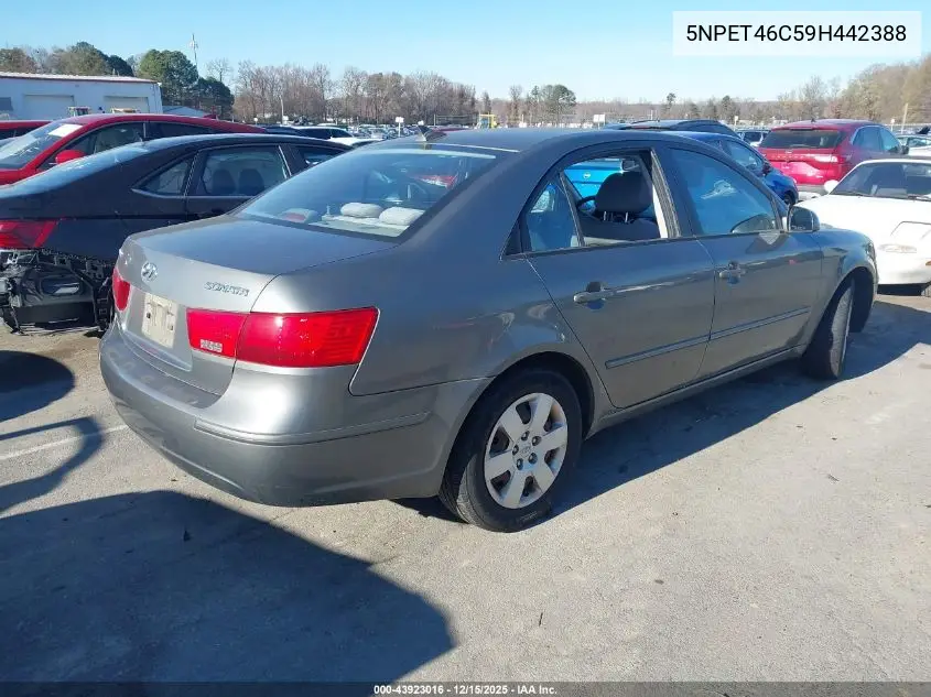 5NPET46C59H442388 2009 Hyundai Sonata Gls