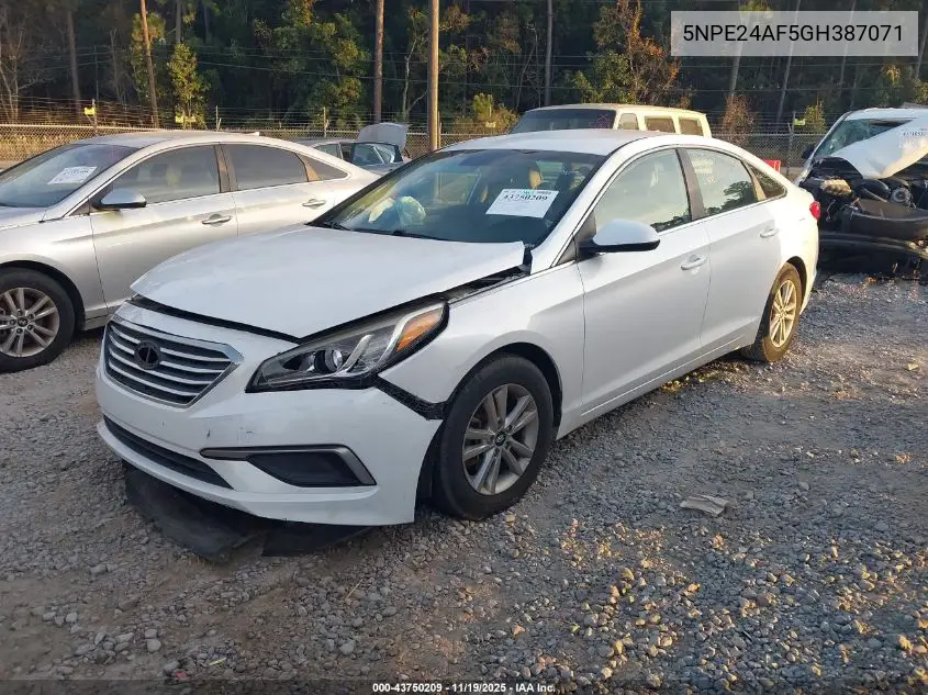 5NPE24AF5GH387071 2016 Hyundai Sonata Se