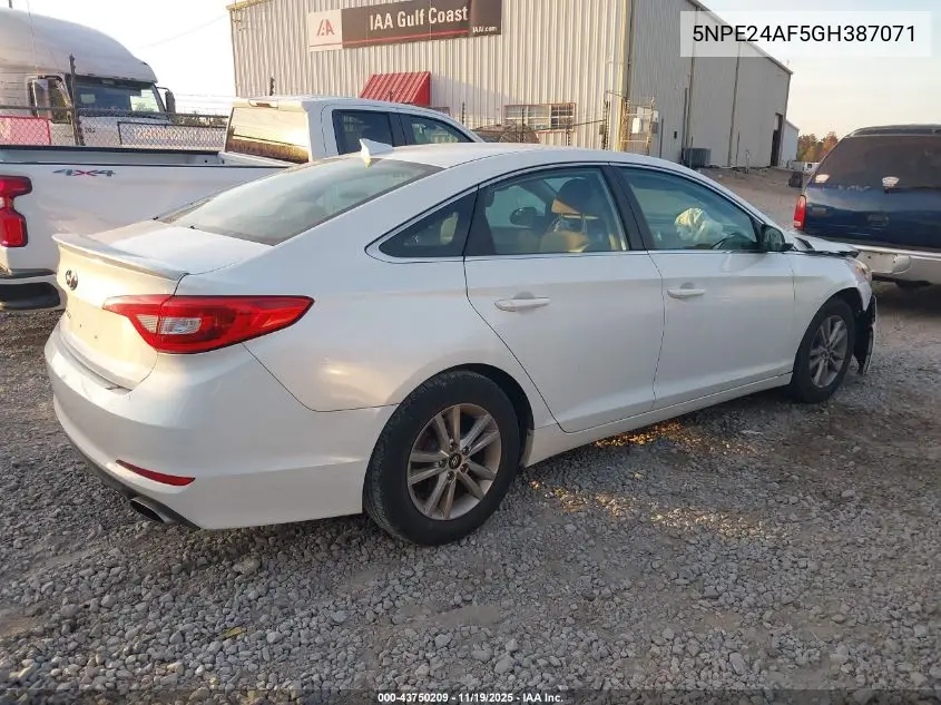 5NPE24AF5GH387071 2016 Hyundai Sonata Se