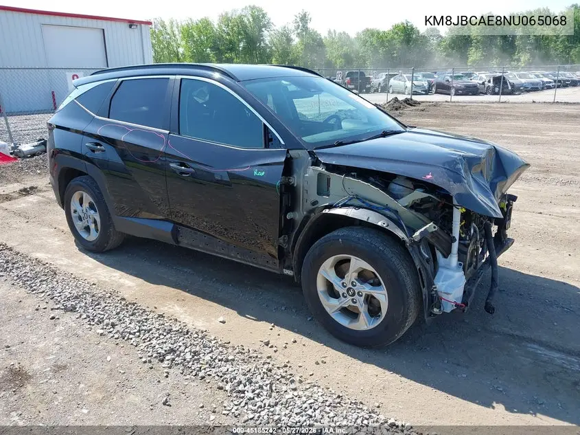 2022 Hyundai Tucson Sel VIN: KM8JBCAE8NU065068 Lot: 45185242