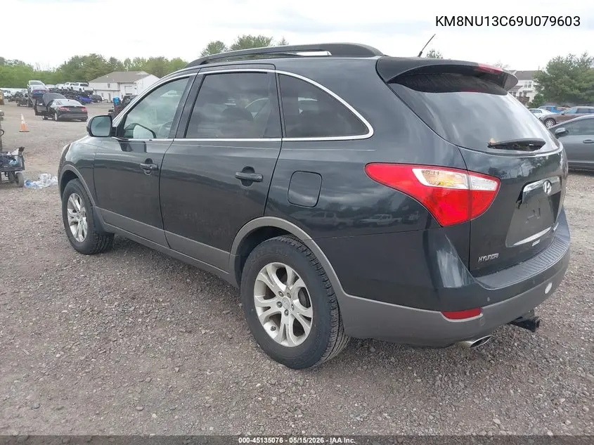 2009 Hyundai Veracruz Gls VIN: KM8NU13C69U079603 Lot: 45135076