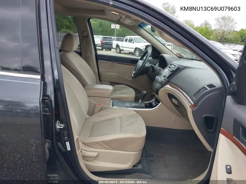 2009 Hyundai Veracruz Gls VIN: KM8NU13C69U079603 Lot: 45135076