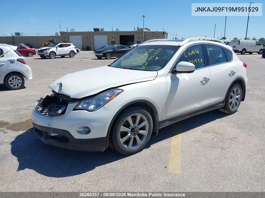 2009 Infiniti Ex35 VIN: JNKAJ09F19M951529 Lot: 20260357