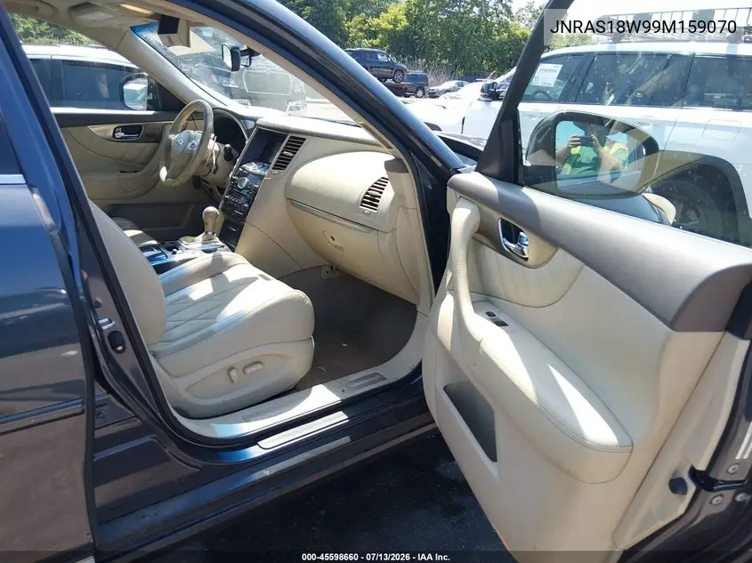 2009 Infiniti Fx35 VIN: JNRAS18W99M159070 Lot: 45598660