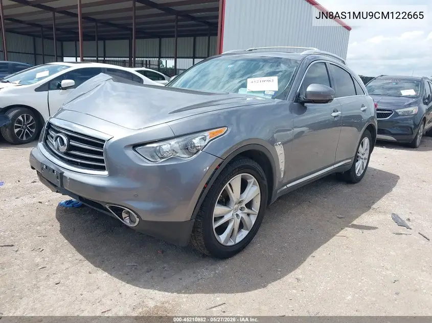 2012 Infiniti Fx35 VIN: JN8AS1MU9CM122665 Lot: 45210982