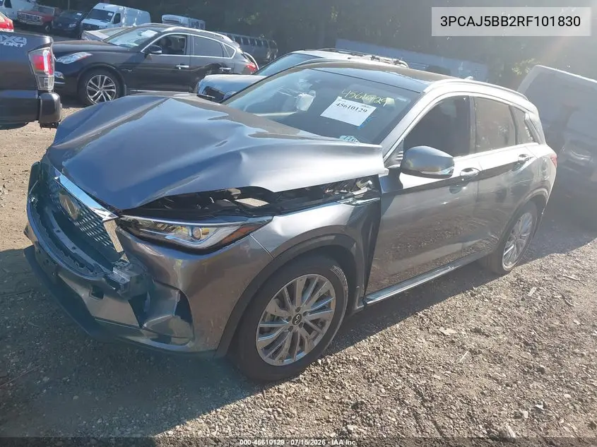 2024 Infiniti Qx50 Luxe Awd VIN: 3PCAJ5BB2RF101830 Lot: 45610129