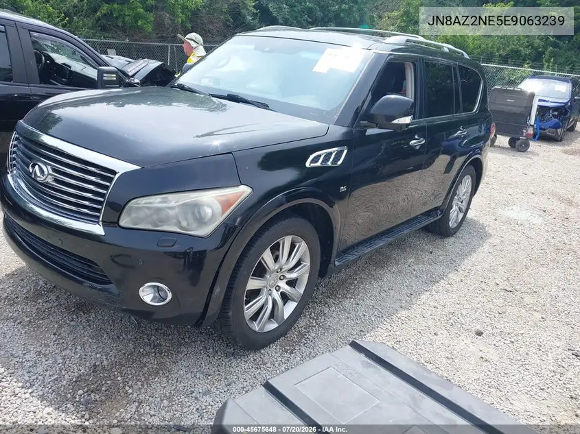 2014 Infiniti Qx80 VIN: JN8AZ2NE5E9063239 Lot: 45675648