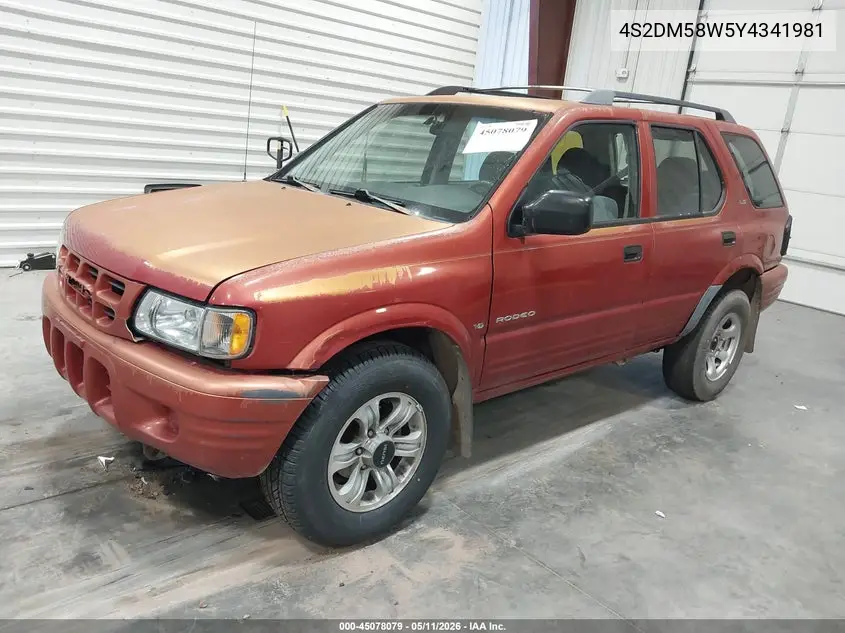 2000 Isuzu Rodeo Ls/Lse/S VIN: 4S2DM58W5Y4341981 Lot: 45078079