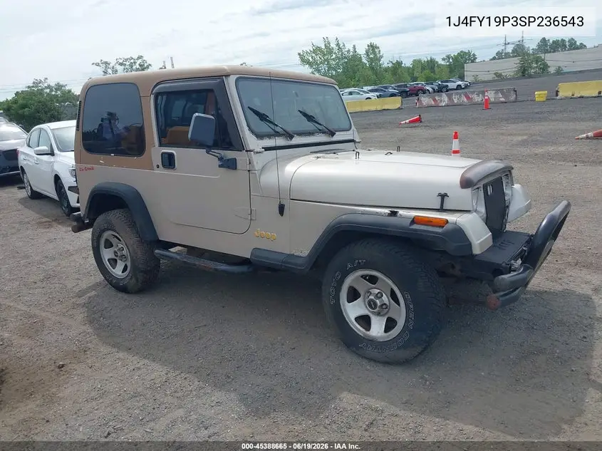 1995 Jeep Wrangler / Yj S/Rio Grande VIN: 1J4FY19P3SP236543 Lot: 45388665