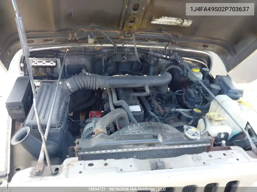 2002 Jeep Wrangler VIN: 1J4FA49S02P703637 Lot: 12634721