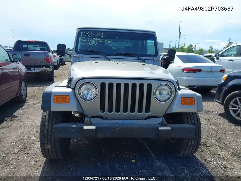 2002 Jeep Wrangler VIN: 1J4FA49S02P703637 Lot: 12634721