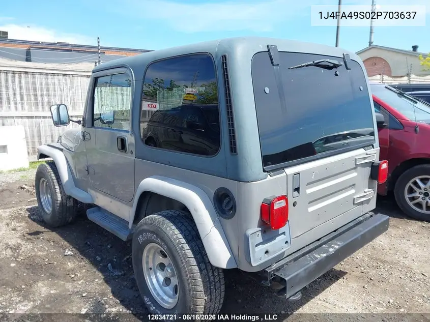 2002 Jeep Wrangler VIN: 1J4FA49S02P703637 Lot: 12634721