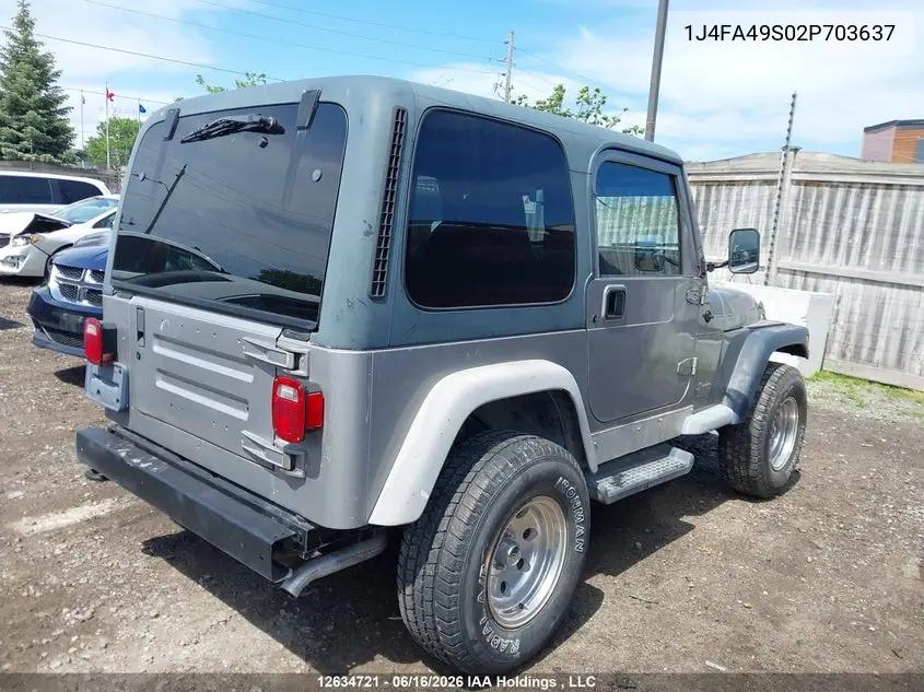 2002 Jeep Wrangler VIN: 1J4FA49S02P703637 Lot: 12634721