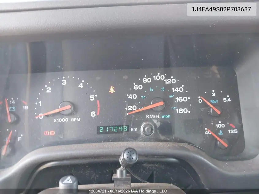 2002 Jeep Wrangler VIN: 1J4FA49S02P703637 Lot: 12634721