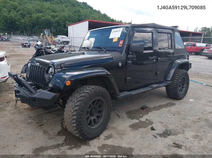 2009 Jeep Wrangler Unlimited Sahara VIN: 1J4GA59129L709085 Lot: 45388031