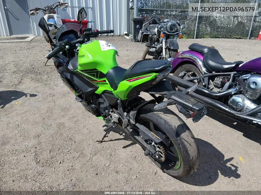 2023 Kawasaki Ex650 P VIN: ML5EXEP12PDA96579 Lot: 45613445