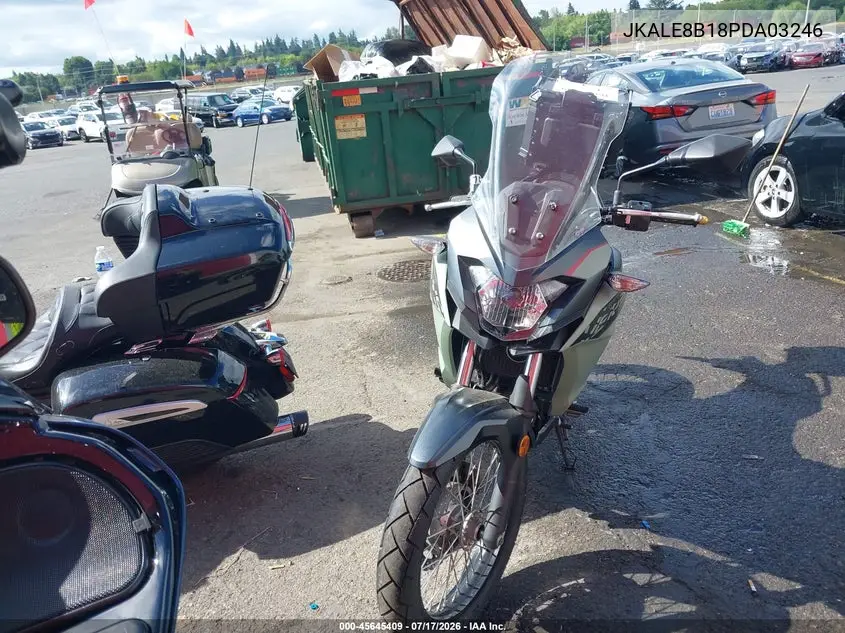 2023 Kawasaki Kle300 B VIN: JKALE8B18PDA03246 Lot: 45645409