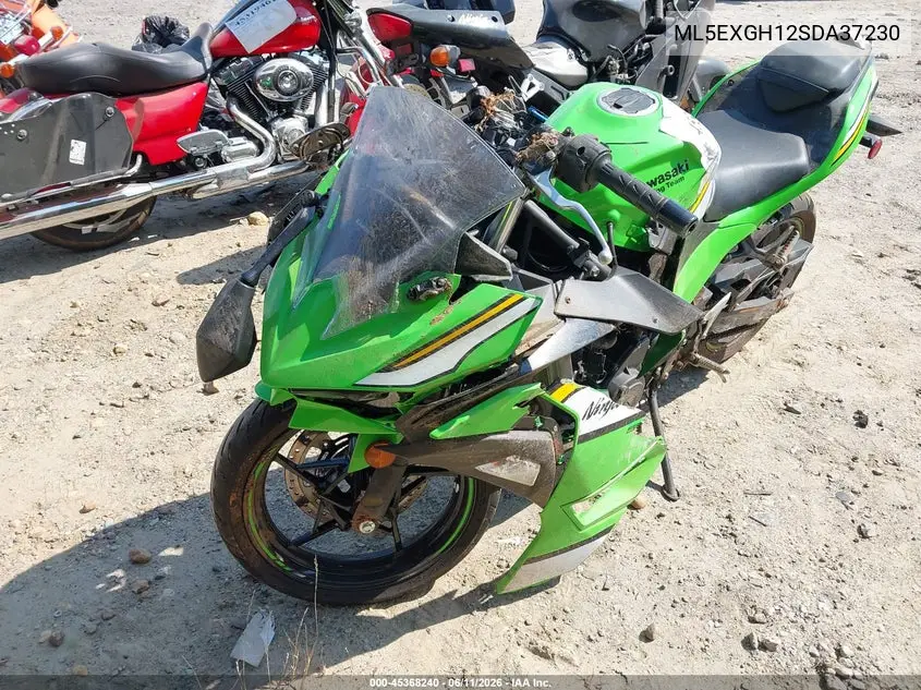 2025 Kawasaki Ex500 H VIN: ML5EXGH12SDA37230 Lot: 45368240
