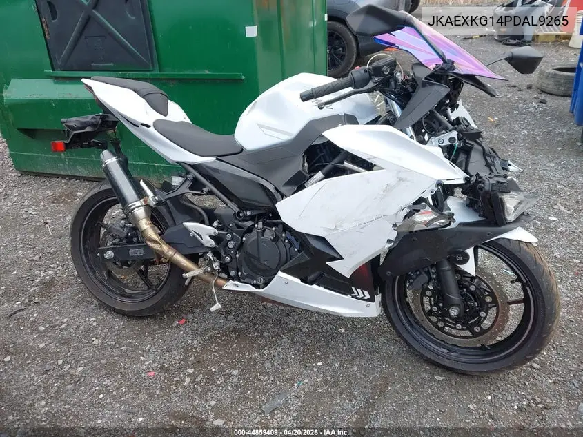 2023 Kawasaki Ex400 VIN: JKAEXKG14PDAL9265 Lot: 44859409