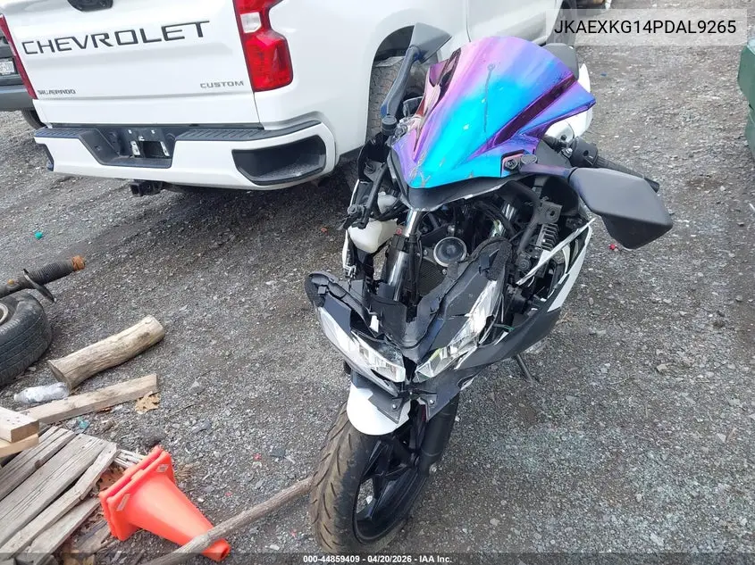 2023 Kawasaki Ex400 VIN: JKAEXKG14PDAL9265 Lot: 44859409